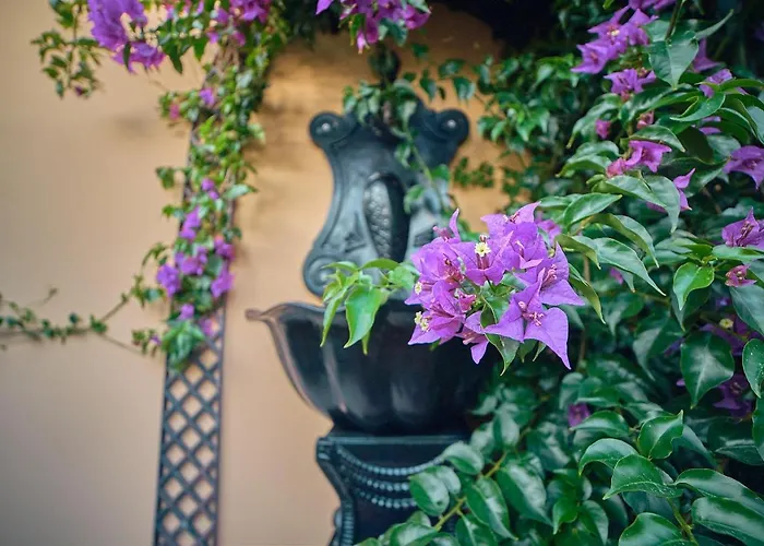 Gæstehus Silver Coast